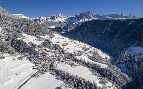 Tiers am Rosengarten in winter