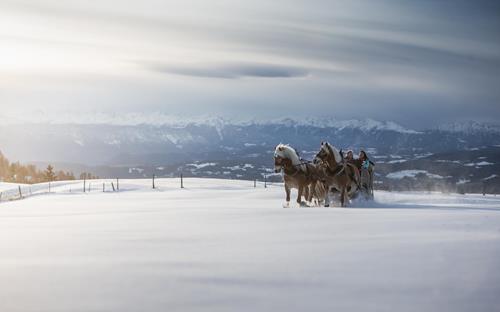 Two people on a horse-drawn sledge