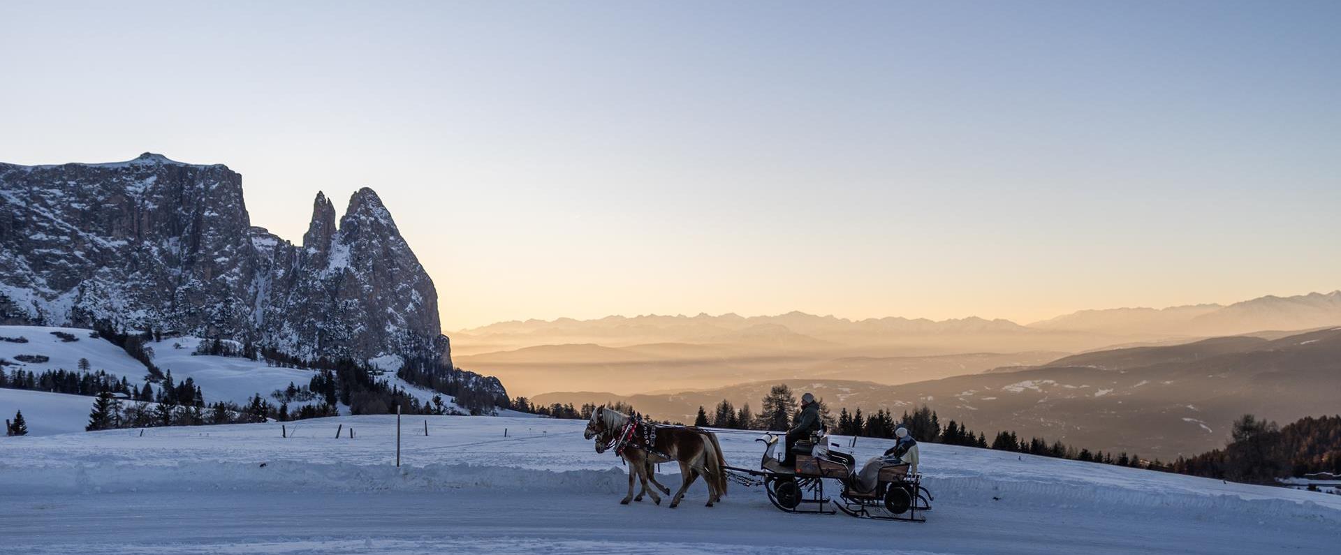 Sleighs across the Alpine pasture