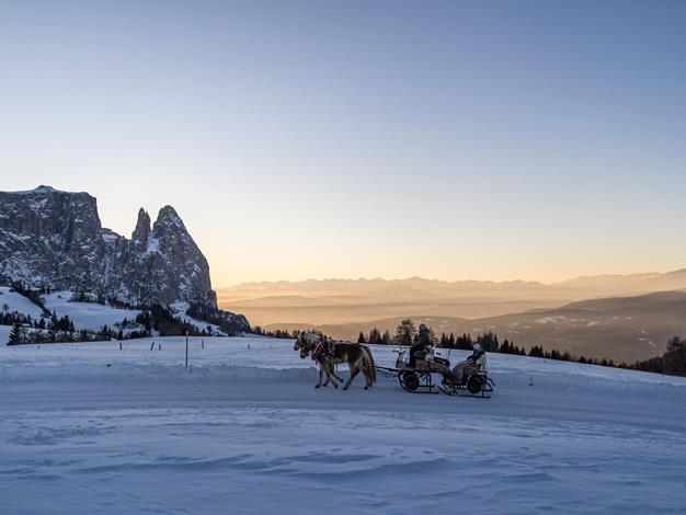 Sleighs across the Alpine pasture